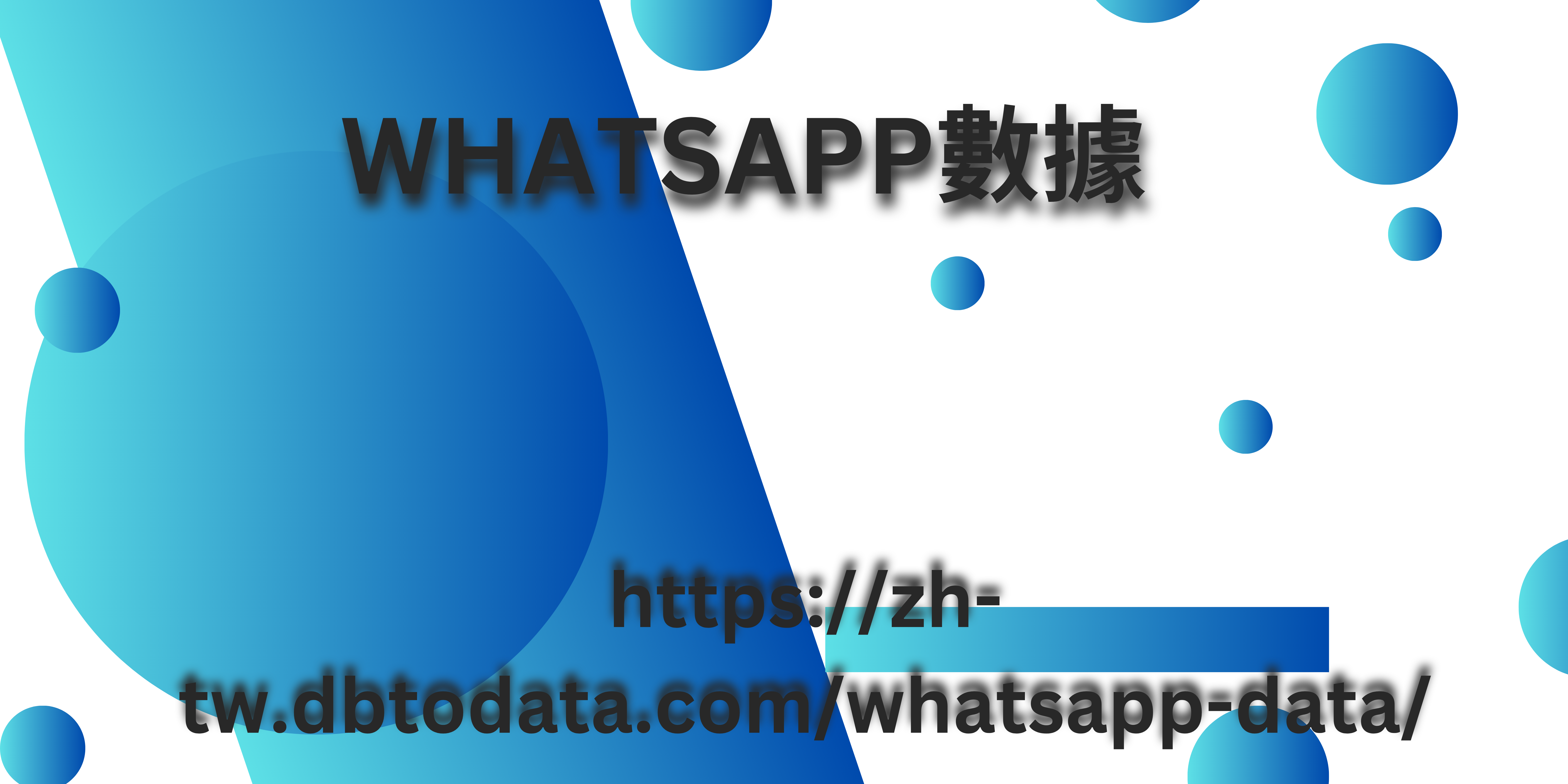 WhatsApp數據